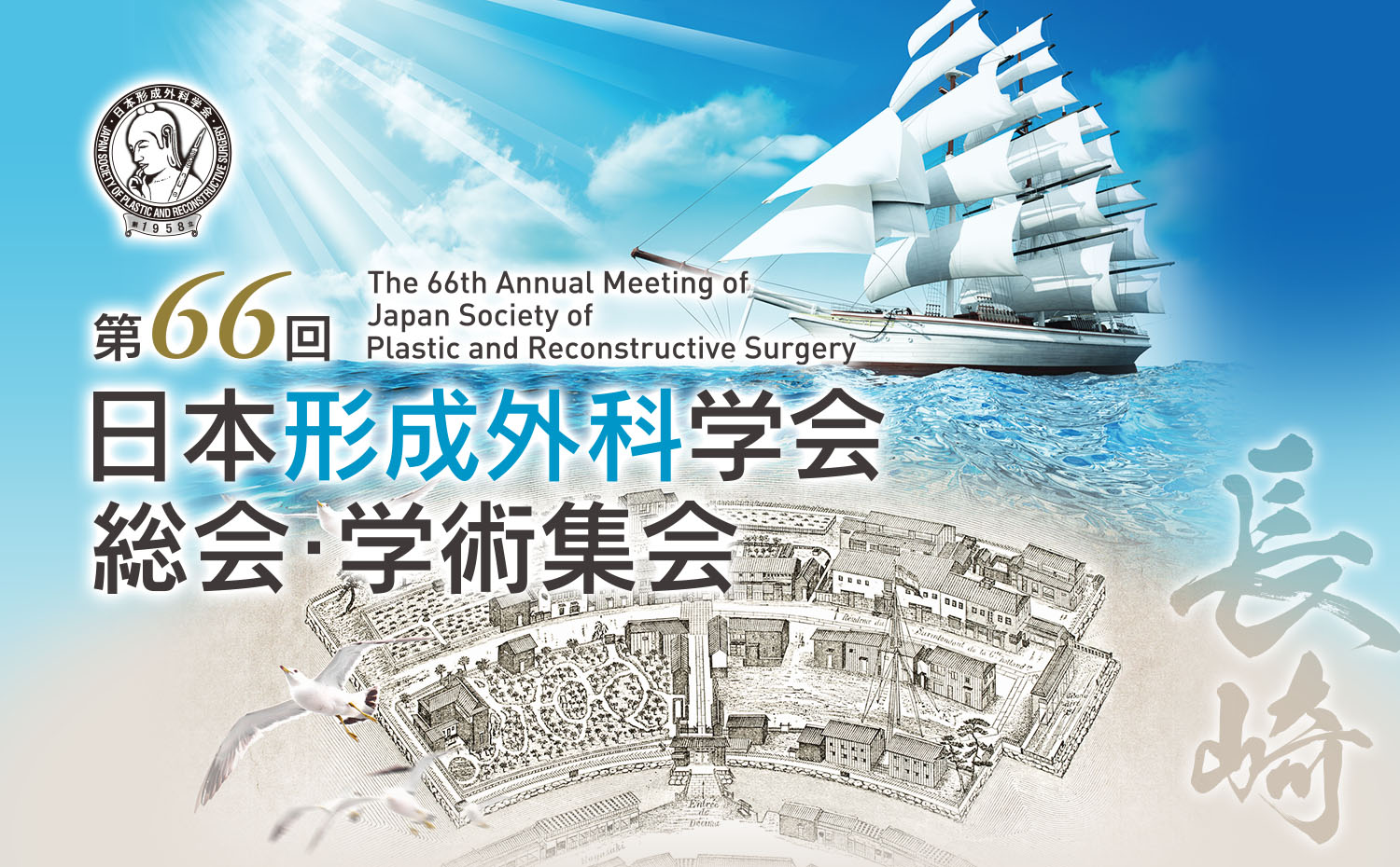 日本 形成 外科 学会